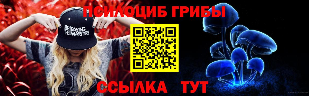 Галлюциногенные грибы Psilocybine cubensis Великий Новгород