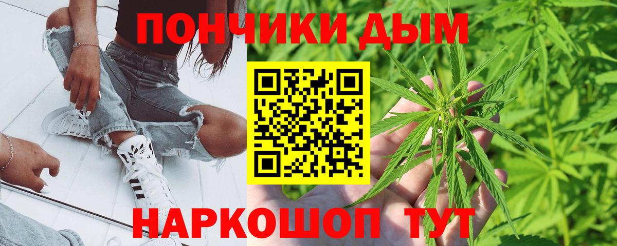 Шишки марихуана гибрид  Вход с VPN  Марихуана Amnesia  Великий Новгород 